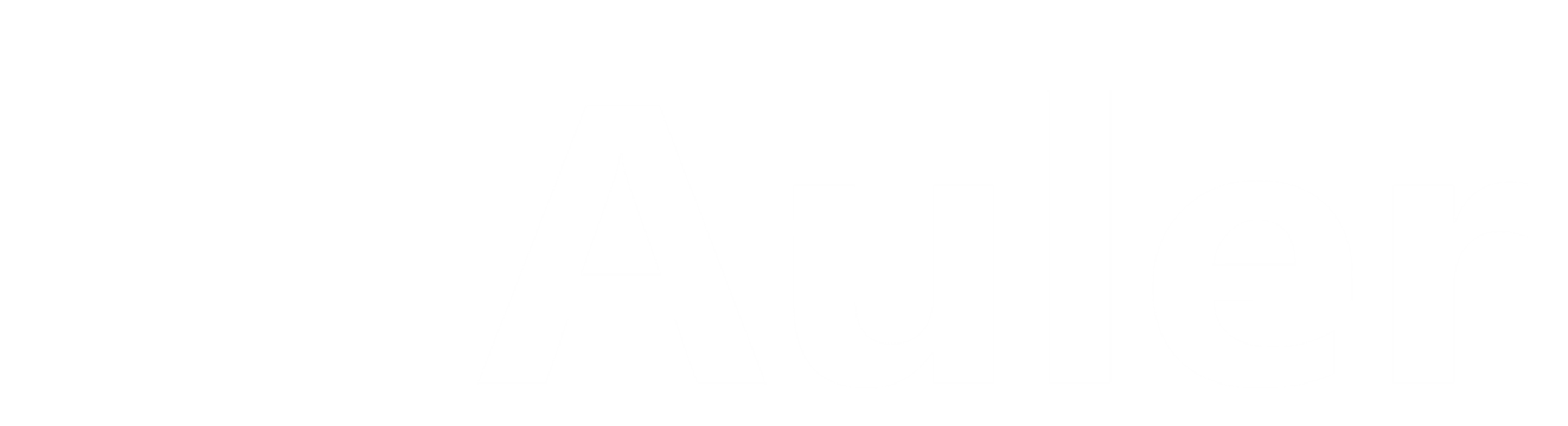 Aluer ServerGuard